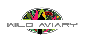 arts logo maker toucan in colored leaves