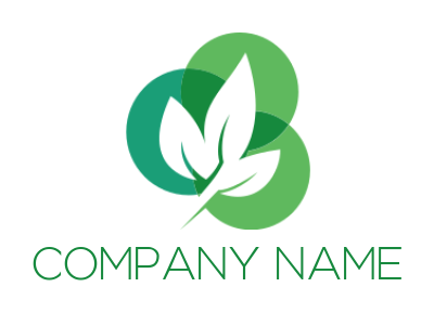 landscape logo of leaf front of crystal circles