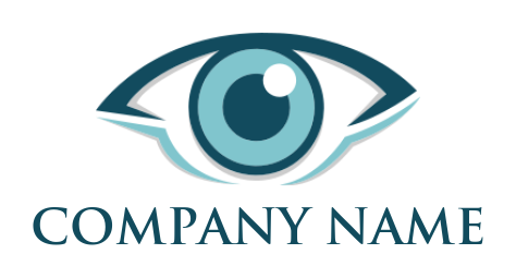 make a medical logo eye with iris - logodesign.net