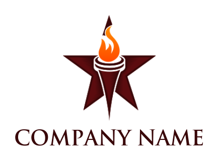 education logo icon flaming torch inside star