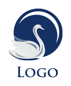 logo-placeholder