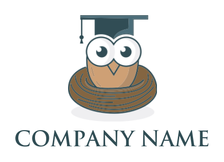 education logo owl with graduation hat in nest