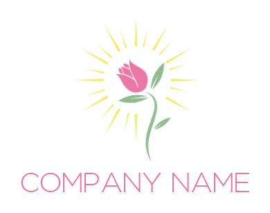 make a beauty logo rose with stem in rays - logodesign.net
