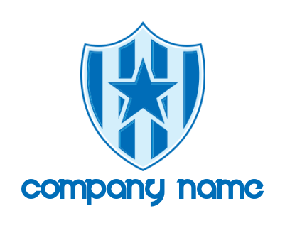 security logo star and lines inside the badge