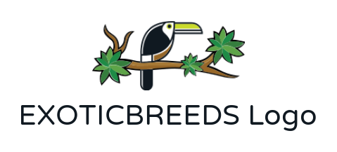 generate a pet logo toucan bird on tree branch