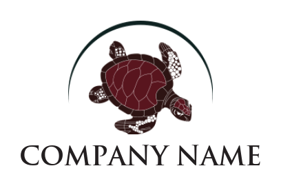 animal logo template turtle in swoosh