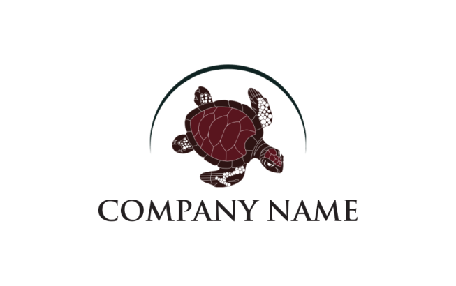 animal logo template turtle in swoosh