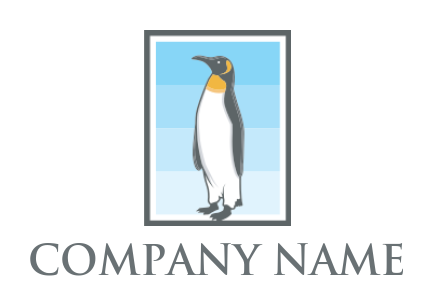 animal logo icon penguin in frame