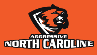 animal mascot logo tiger face in shield