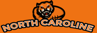 animal logo angry tiger mascot with football