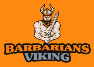 sports logo viking man with sword and helmet
