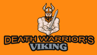 sports logo viking man with sword and helmet