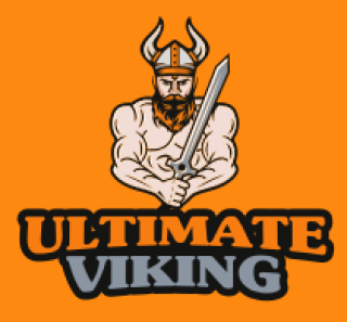 sports logo viking man with sword and helmet