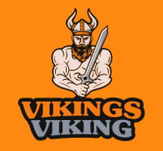 sports logo viking man with sword and helmet