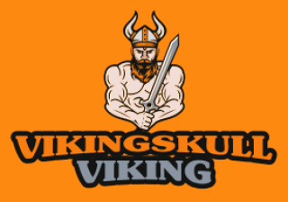 sports logo viking man with sword and helmet
