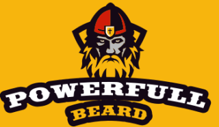 games logo viking man with beard in shield