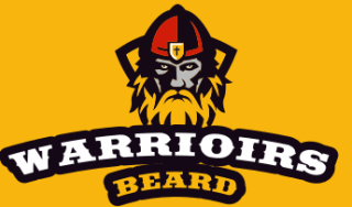 games logo viking man with beard in shield