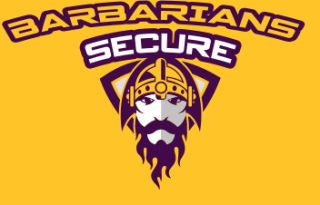 sports logo viking face with helmet in shield