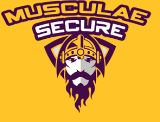 sports logo viking face with helmet in shield