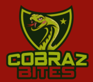 games logo mascot cobra in shield with star