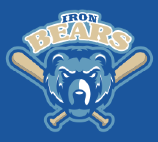 games logo mascot aggressive bear in bats
