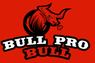 sports logo maker angry bull mascot
