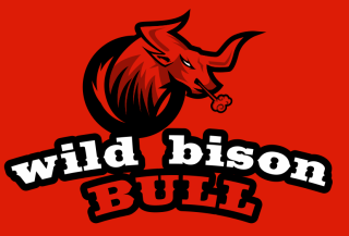 angry bull mascot with horn