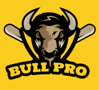 animal logo angry bull mascot with bats