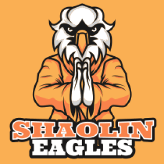 sports logo eagle mascot in martial art clothing