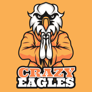 sports logo eagle mascot in martial art clothing