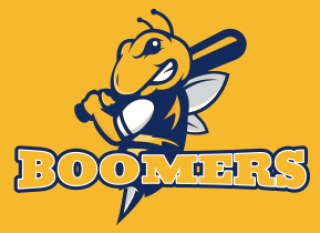 angry bee mascot logo with baseball bat
