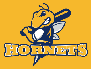 angry bee mascot logo with baseball bat