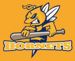 hornet mascot logo with baseball bat