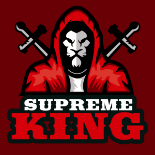  mascot logo lion in hoodie with swords