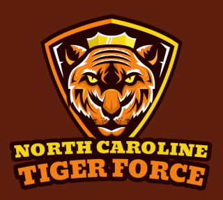 games logo icon tiger with crown in shield