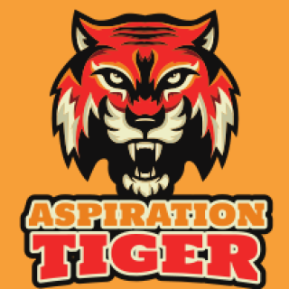 animal logo fierce looking tiger face mascot