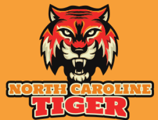 animal logo fierce looking tiger face mascot