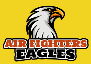 animal logo sharp looking eagle mascot