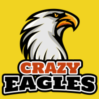 animal logo sharp looking eagle mascot