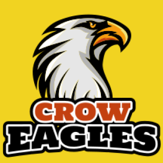 animal logo sharp looking eagle mascot