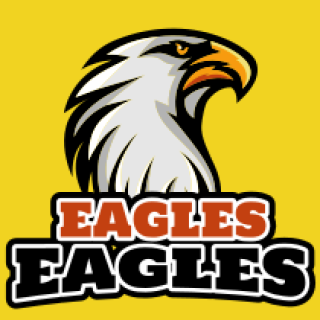 animal logo sharp looking eagle mascot