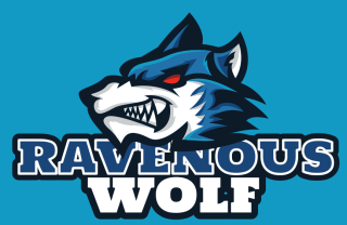 angry expressions on wolf face mascot logo idea