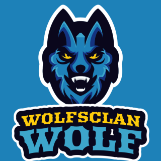 angry expressions on wolf face mascot