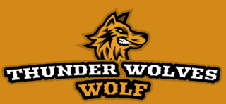 animal logo maker angry wolf mascot