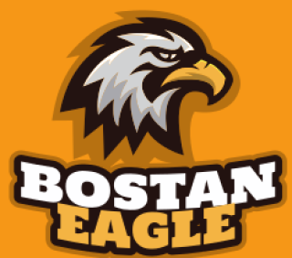 animal logo creator bald eagle mascot