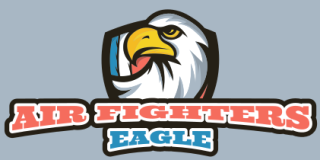 security logo online bald eagle in shield
