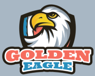 security logo online bald eagle in shield