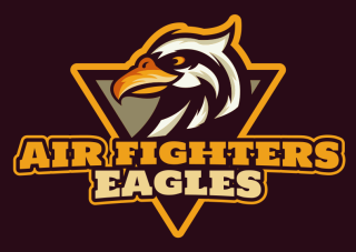 security logo icon angry eagle in shield