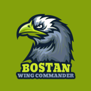 animal logo maker eagle mascot