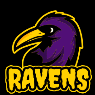 bird logo raven mascot yellow beak